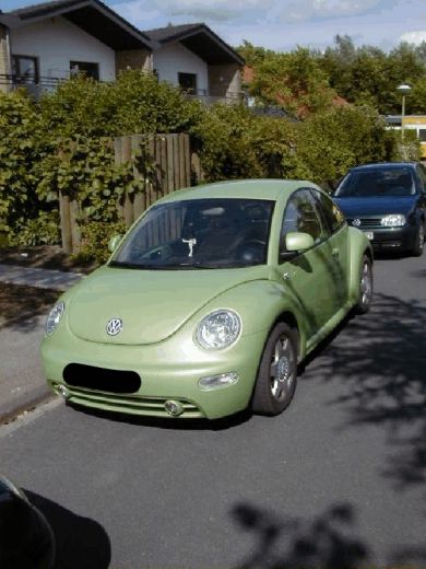 Hier seht Ihr den Grund f�r Arnes Nick-Name! Beetle-Man ! 